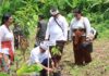 Kegiatan JALA ke-7 Bawaslu Bali untuk pelestarian lingkungan di Pura Luhur Batukaru, Tabanan.