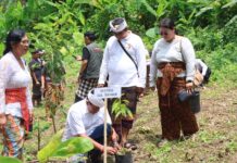 Bukan Cuma Awasi Pemilu, Bawaslu se-Bali Turun ke Batukaru Selamatkan Alam Kegiatan JALA ke-7 Bawaslu Bali untuk pelestarian lingkungan di Pura Luhur Batukaru, Tabanan.