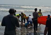 WNA Jerman Terseret Arus di Pantai Petangahan Tabanan, Sempat Ditolong Pakai Bambu WNA Jerman terseret arus di Pantai Petangahan Tabanan