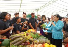 131 Pelaku Usaha Turun ke Pasar Rakyat Badung, Transaksi Pagi Tembus Rp322 Juta Putri Suastini Koster menghadiri Pasar Rakyat TP PKK Bali di Badung yang melibatkan 131 pelaku usaha lokal dan mendukung pemberdayaan UMKM.
